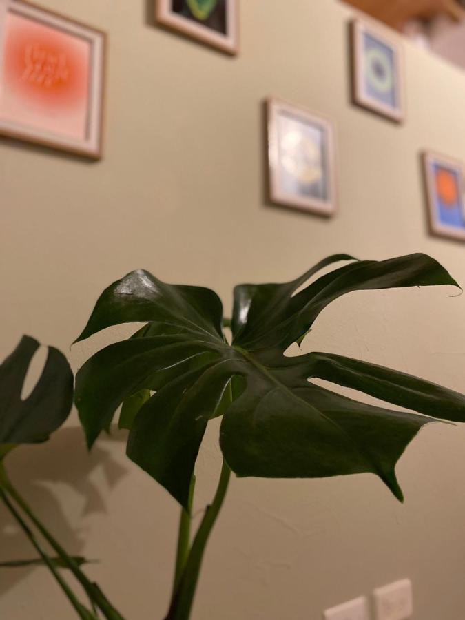 Subotanico Poblado, Medellinアパートメント エクステリア 写真